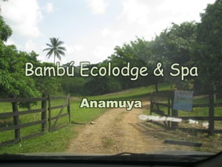 Bambú Ecolodge & SpaAnamuya