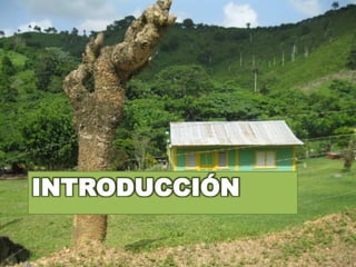 Introducción