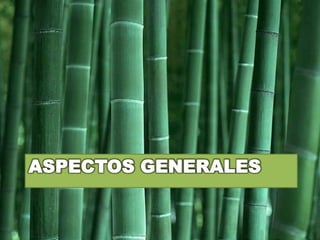 Aspectos generales