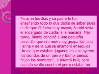    Pasaron los días y su padre le fue
    enseñando todo lo que debía de saber pues
    el día que él fuera muy mayor, Bambi sería
    el encargado de cuidar a la manada. Más
    tarde, Bambi conoció a una pequeña
    cervatilla que era muy muy guapa llamada
    Farina y de la que se enamoró enseguida.
    Un día que estaban jugando las dos oyeron
    los ladridos de un perro y Bambi pensó:
    "¡Son los hombres!", e intentó huir, pero
    cuando se dio cuenta el perro estaba tan
    cerca que no le quedó más remedio que
 