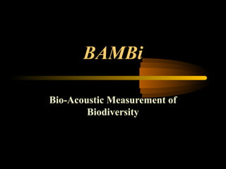 BAMBi
Bio-Acoustic Measurement of
Biodiversity
 