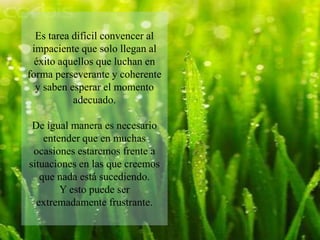 Es tarea difícil convencer al impaciente que solo llegan al éxito aquellos que luchan en forma perseverante y coherente y saben esperar el momento adecuado.De igual manera es necesario entender que en muchas ocasiones estaremos frente a situaciones en las que creemos que nada está sucediendo.Y esto puede ser extremadamente frustrante.