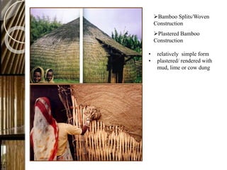 Bamboo | PPTX