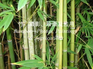 竹—摄影、绘画及应用 Bamboo─Photos, Paintings  & Applications 