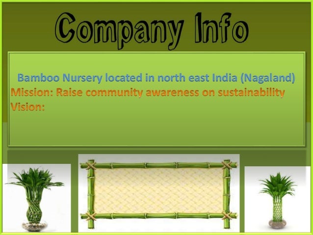 business plan bamboo products