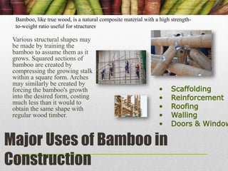 Bamboo | PPTX