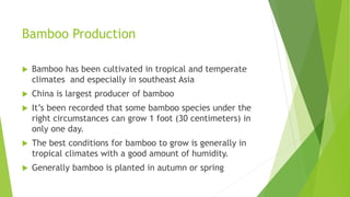 Bamboo Production
 Bamboo has been cultivated in tropical and temperate
climates and especially in southeast Asia
 China is largest producer of bamboo
 It’s been recorded that some bamboo species under the
right circumstances can grow 1 foot (30 centimeters) in
only one day.
 The best conditions for bamboo to grow is generally in
tropical climates with a good amount of humidity.
 Generally bamboo is planted in autumn or spring
 