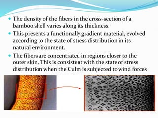  The density of the fibers in the cross-section of a
bamboo shell varies along its thickness.
 This presents a functionally gradient material, evolved
according to the state of stress distribution in its
natural environment.
 The fibers are concentrated in regions closer to the
outer skin. This is consistent with the state of stress
distribution when the Culm is subjected to wind forces
 