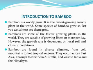 INTRODUCTION TO BAMBOO
⚫ Bamboo is a woody grass. It is the fastest-growing woody
plant in the world. Some species of bamboo grow so fast
you can almost see them grow.
⚫ Bamboos are some of the fastest growing plants in the
world. They are capable of growing 60 cm or more per day.
However, the growth rate is dependent on local soil and
climatic conditions.
⚫ Bamboo are found in diverse climates, from cold
mountains to hot tropical regions. They occur across East
Asia, through to Northern Australia, and west to India and
the Himalayas.
 
