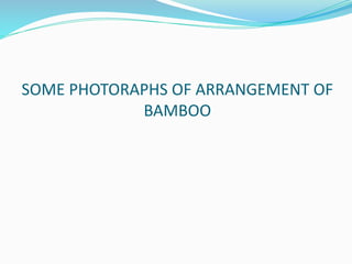 SOME PHOTORAPHS OF ARRANGEMENT OF
BAMBOO
 
