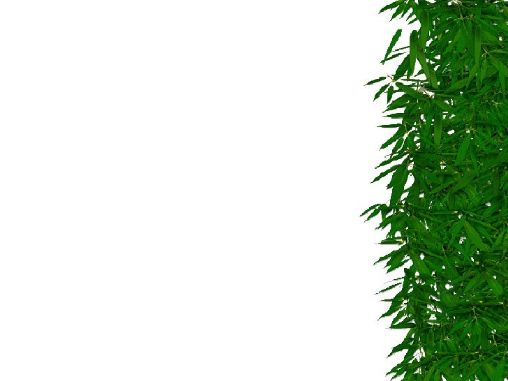 bamboo template