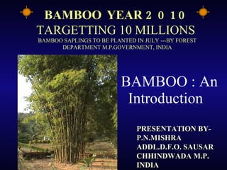 BAMBOO : An  Introduction BAMBOO   YEAR  2010 TARGETTING 10 MILLIONS  BAMBOO SAPLINGS TO BE PLANTED IN JULY ---BY FOREST DEPARTMENT M.P.GOVERNMENT, INDIA PRESENTATION BY- P.N.MISHRA ADDL.D.F.O. SAUSAR CHHINDWADA M.P.  INDIA 