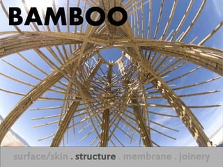 BAMBOO



surface/skin . structure . membrane . joinery
 