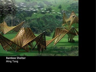 Bamboo Shelter
Ming Tang
 