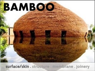 BAMBOO



surface/skin . structure . membrane . joinery
 