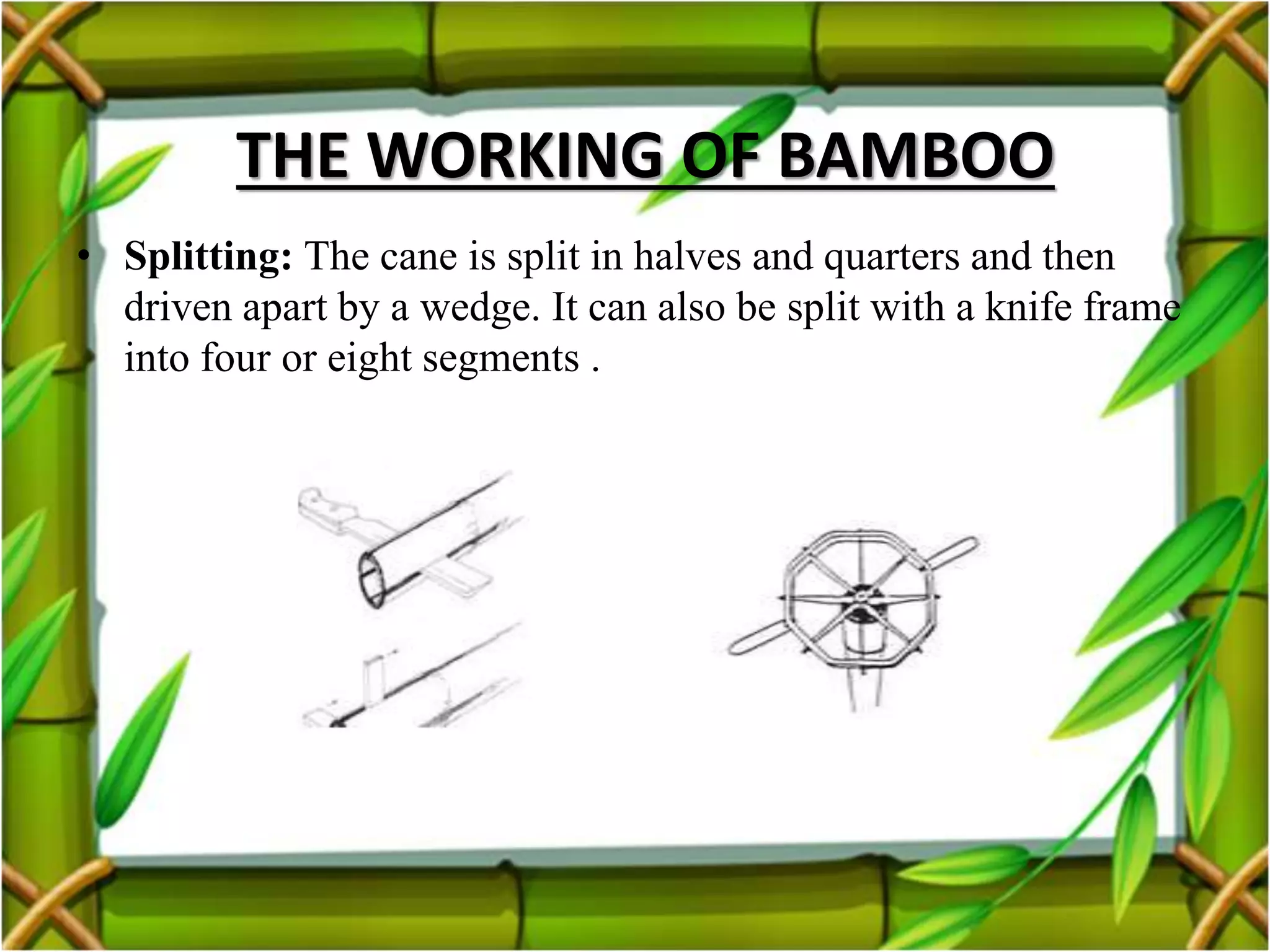 Bamboo as a building material | PPTX