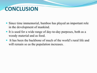CONCLUSION
 Since time immemorial, bamboo has played an important role
in the development of mankind.
 It is used for a wide range of day-to-day purposes, both as a
woody material and as food.
 It has been the backbone of much of the world’s rural life and
will remain so as the population increases.
 
