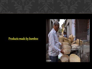 Products made by bamboo
 