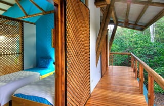 Bamboo casa atrevida