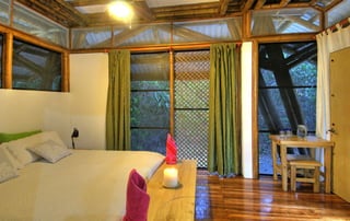 Bamboo casa atrevida