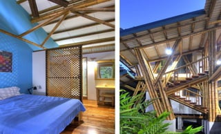 Bamboo casa atrevida