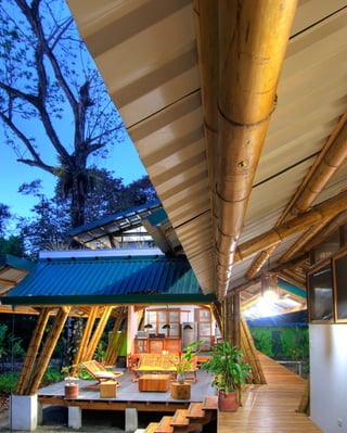 Bamboo casa atrevida