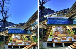 Bamboo casa atrevida