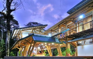 Bamboo casa atrevida