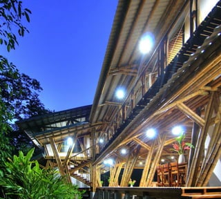 Bamboo casa atrevida