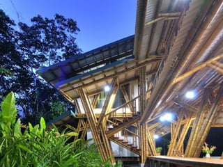 Bamboo casa atrevida