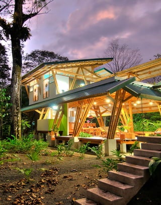 Bamboo casa atrevida