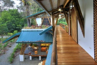 Bamboo casa atrevida