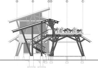 Bamboo casa atrevida