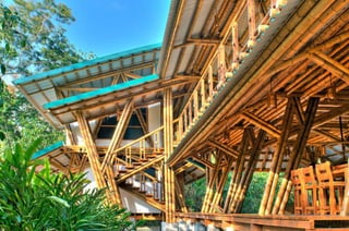 Bamboo casa atrevida
