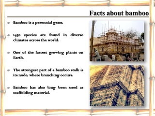 Facts about bamboo
ø Bamboo is a perennial grass.

ø 1450 species are found in diverse
  climates across the world.

ø One of the fastest growing plants on
  Earth.

ø The strongest part of a bamboo stalk is
  its node, where branching occurs.

ø Bamboo has also long been used as
  scaffolding material.
 