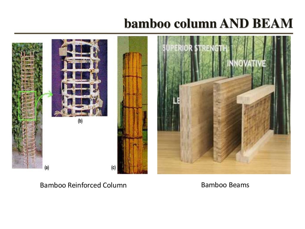 bamboo species good for construction in india nd as a material