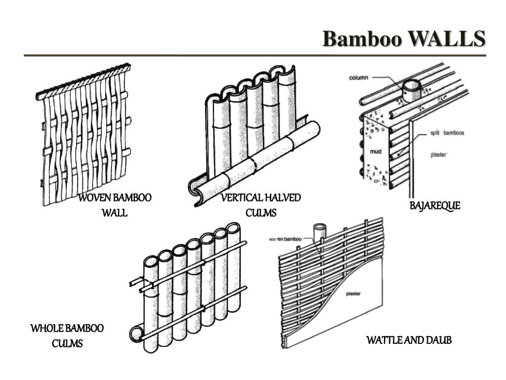 bamboo species good for construction in india nd as a material