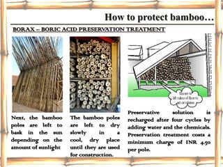 Bamboo construction (final ppt) | PPTX