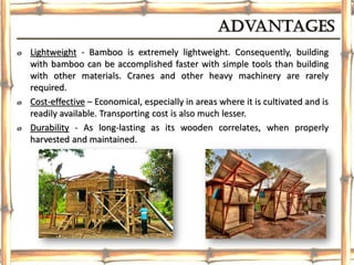 advantages
ø Lightweight - Bamboo is extremely lightweight. Consequently, building
with bamboo can be accomplished faster with simple tools than building
with other materials. Cranes and other heavy machinery are rarely
required.
ø Cost-effective – Economical, especially in areas where it is cultivated and is
readily available. Transporting cost is also much lesser.
ø Durability - As long-lasting as its wooden correlates, when properly
harvested and maintained.
 