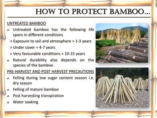 HOw TO pROTeCT bambOO…
UNTREATED BAMBOO
ø Untreated bamboo has the following life
spans in different conditions
> Exposure to soil and atmosphere = 1-3 years
> Under cover = 4-7 years
> Very favourable conditions = 10-15 years
ø Natural durability also depends on the
species of the bamboo
PRE-HARVEST AND POST HARVEST PRECAUTIONS
ø Felling during low sugar content season i.e.
dry season
ø Felling of mature bamboo
ø Post harvesting transpiration
ø Water soaking
 