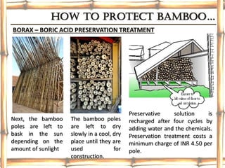 HOw TO pROTeCT bambOO…
Preservative solution is
recharged after four cycles by
adding water and the chemicals.
Preservation treatment costs a
minimum charge of INR 4.50 per
pole.
BORAX – BORIC ACID PRESERVATION TREATMENT
Next, the bamboo
poles are left to
bask in the sun
depending on the
amount of sunlight
The bamboo poles
are left to dry
slowly in a cool, dry
place until they are
used for
construction.
 
