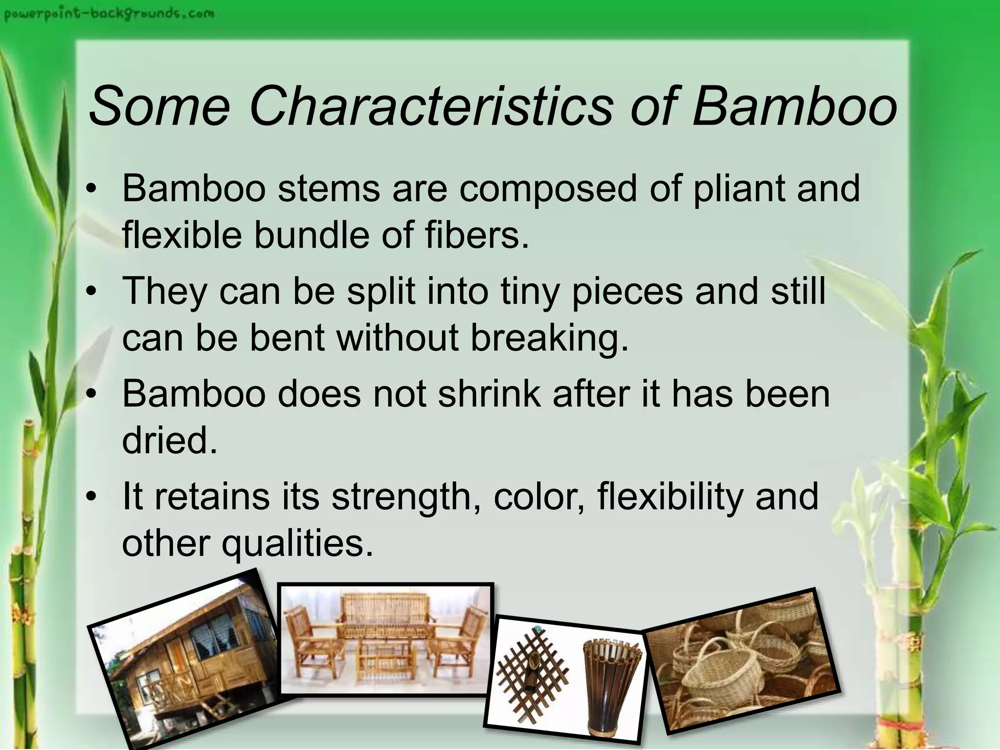 Some Characteristics of Bamboo
• Bamboo stems are composed of pliant and
flexible bundle of fibers.
• They can be split into tiny pieces and still
can be bent without breaking.
• Bamboo does not shrink after it has been
dried.
• It retains its strength, color, flexibility and
other qualities.
 
