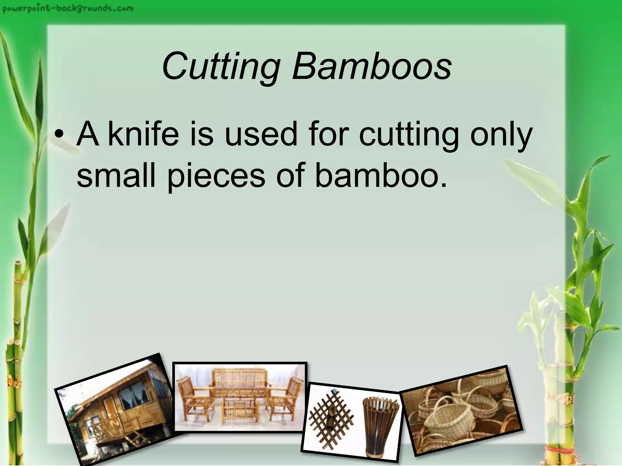Cutting Bamboos
• A knife is used for cutting only
small pieces of bamboo.
 