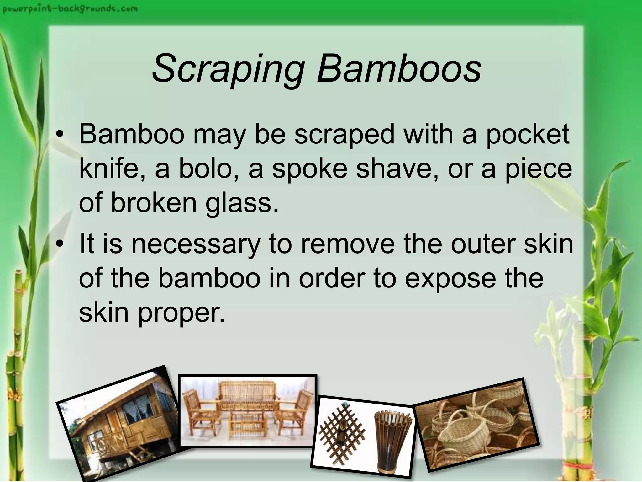 Scraping Bamboos
• Bamboo may be scraped with a pocket
knife, a bolo, a spoke shave, or a piece
of broken glass.
• It is necessary to remove the outer skin
of the bamboo in order to expose the
skin proper.
 