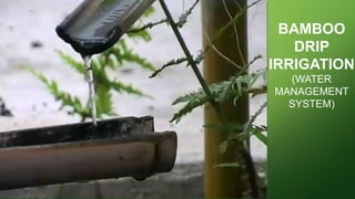 BAMBOO
DRIP
IRRIGATION
(WATER
MANAGEMENT
SYSTEM)
 