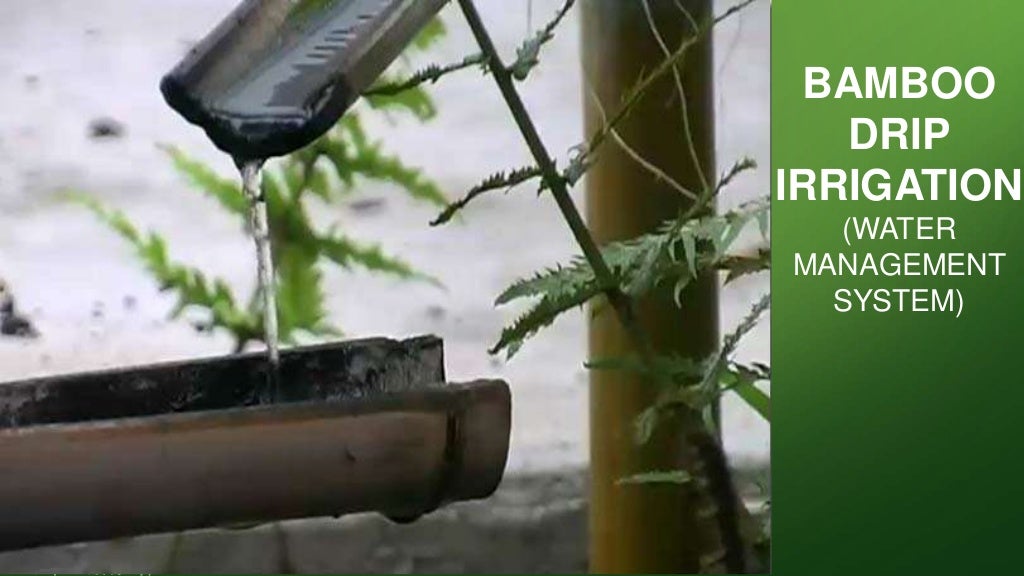 Bamboo drip irrigation