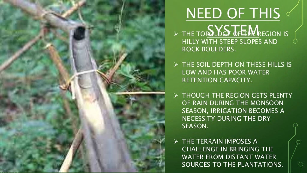 Bamboo drip irrigation