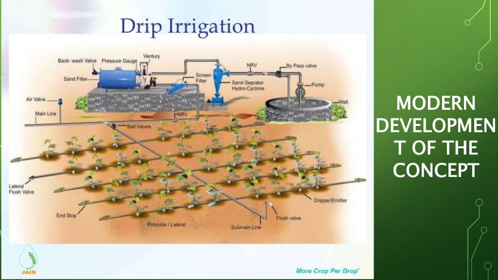 Bamboo drip irrigation