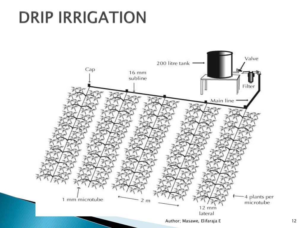 Bamboo drip irrigation pipes design