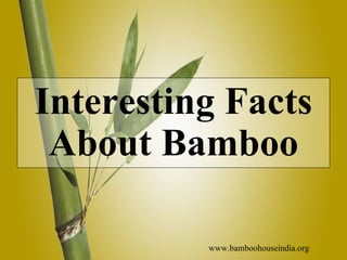 [object Object],www.bamboohouseindia.org 